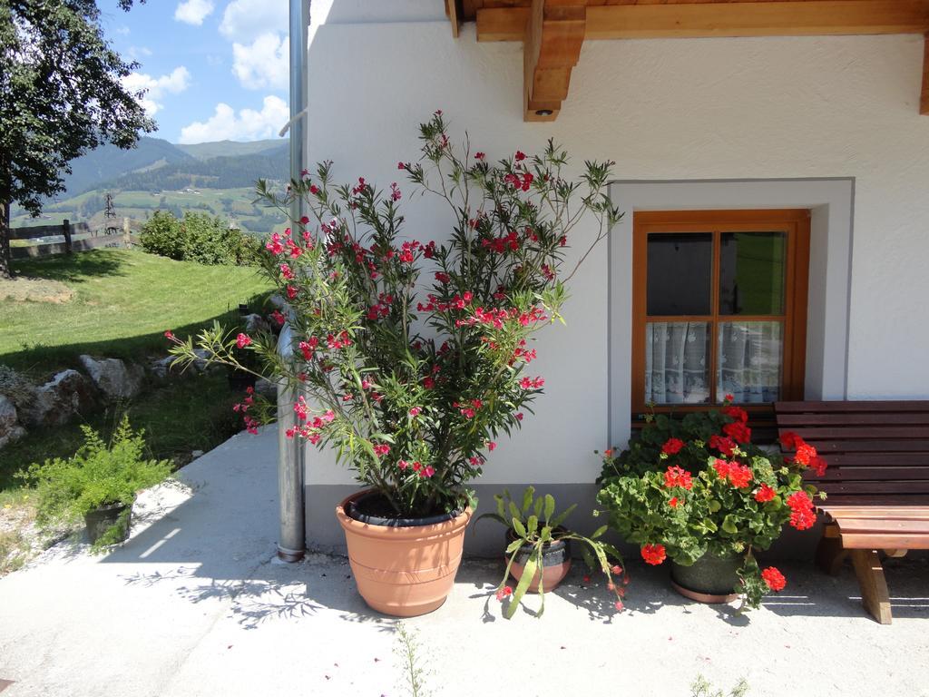 Landhaus Ganzer Niedernsill Kamer foto